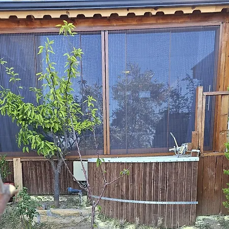 Suuyla Kazdaglari Edremit (Balikesir)